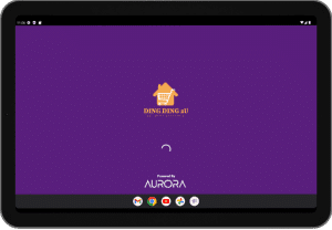 AURORA POS 1